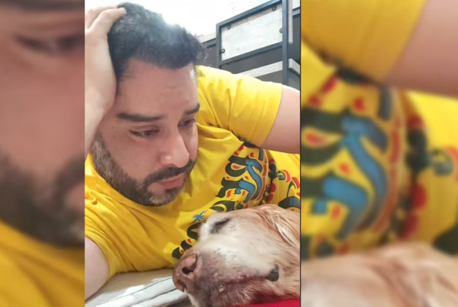 ¡Doloroso adiós! Junior Silva llora la muerte de Bronco, su mascota de 14 años: “Te voy a recordar y querer siempre, hijito bello”