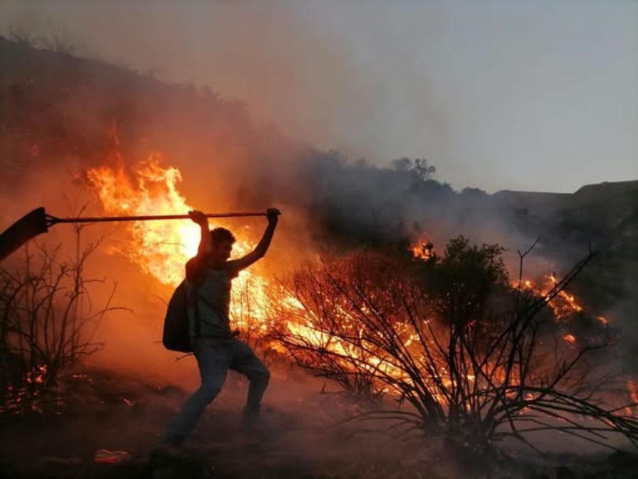 MILENA WARTHON PROTESTA CONTRA INCENDIOS FORESTALES DURANTE SU PRESENTACIÓN EN EL CONCIERTO DE ZAYN MALIK EN LIMA